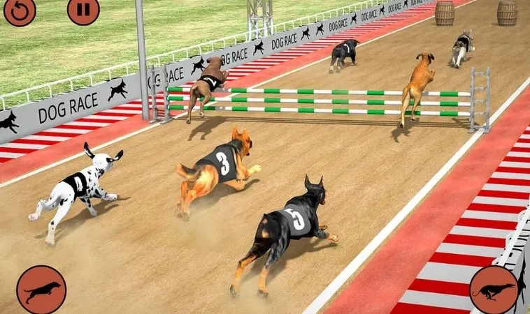 Mẹo chơi game nhanh Đua Chó Tại S666